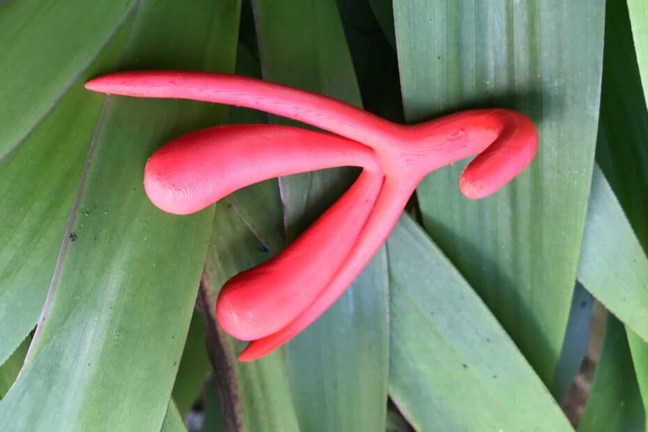 Sådan ser klitoris ud. Psyko- og parterapeut Sara Vafai-Blom